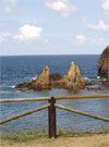 Fotos Tapia