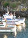 Fotos Tapia